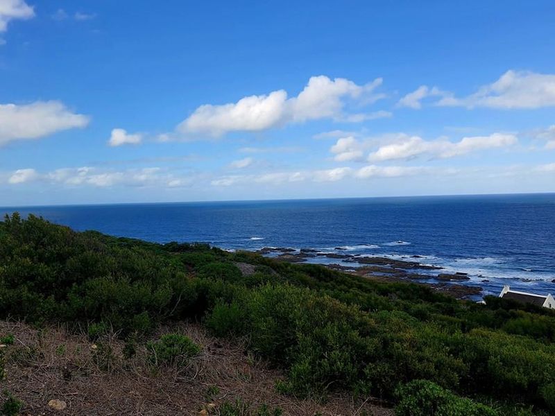 The ocean is calling and I must go - Photo 6