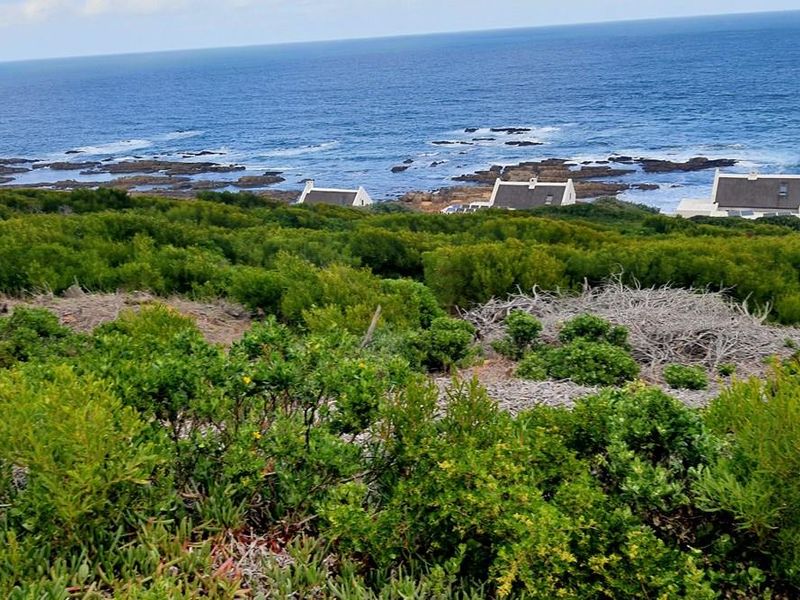 The ocean is calling and I must go - Photo 8