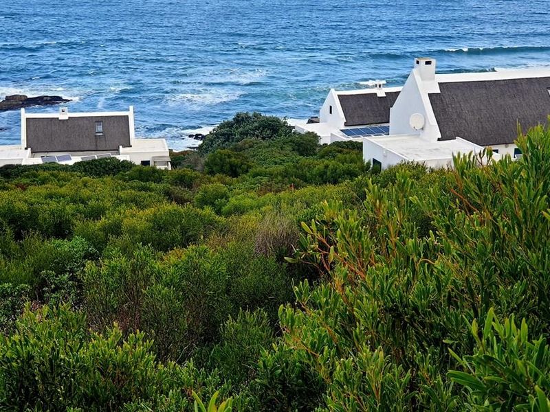 The ocean is calling and I must go - Photo 3