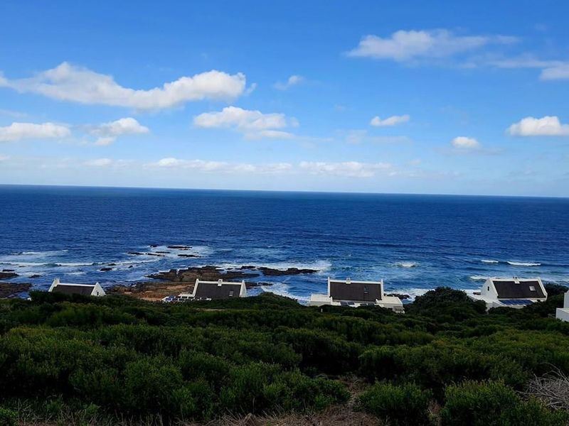 The ocean is calling and I must go - Photo 2