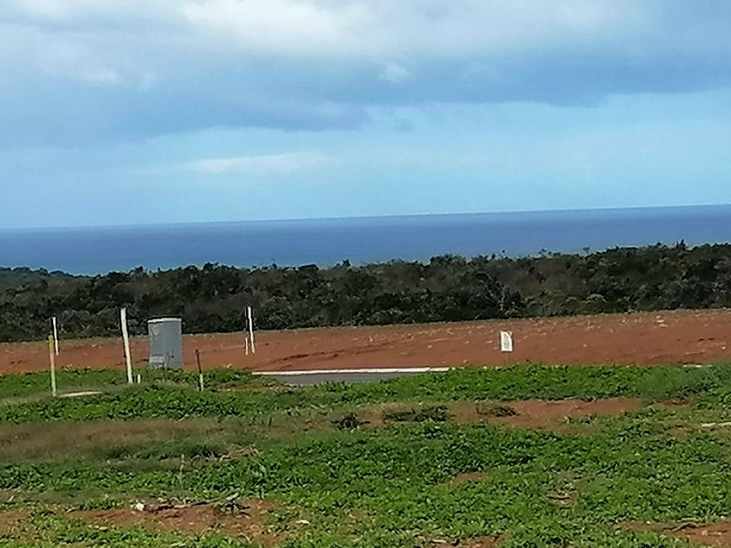 Platteboschkloof Estate now selling in Stilbaai Wes - Photo 2