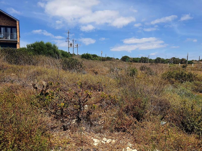 Seaside elegance: Dual access, stunning Vleesbaai 652 m2 stand - Photo 5