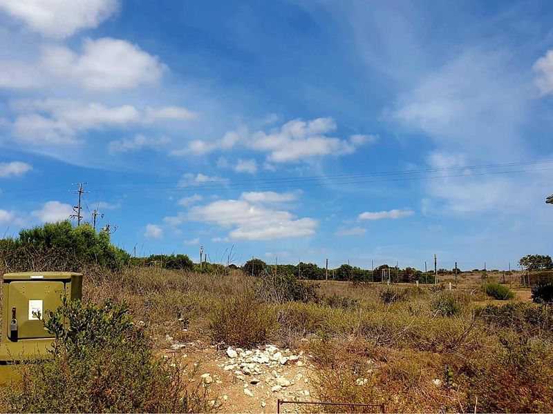 Seaside elegance: Dual access, stunning Vleesbaai 652 m2 stand - Photo 6