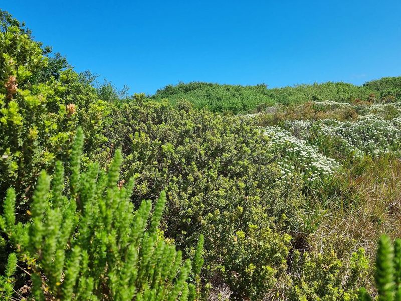 1428m2 Premium Stand in a Quiet Cul-de-Sac - St Francis Links Estate - Photo 5