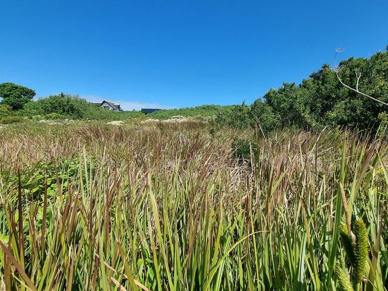 1428m2 Premium Stand in a Quiet Cul-de-Sac - St Francis Links Estate - Photo 8