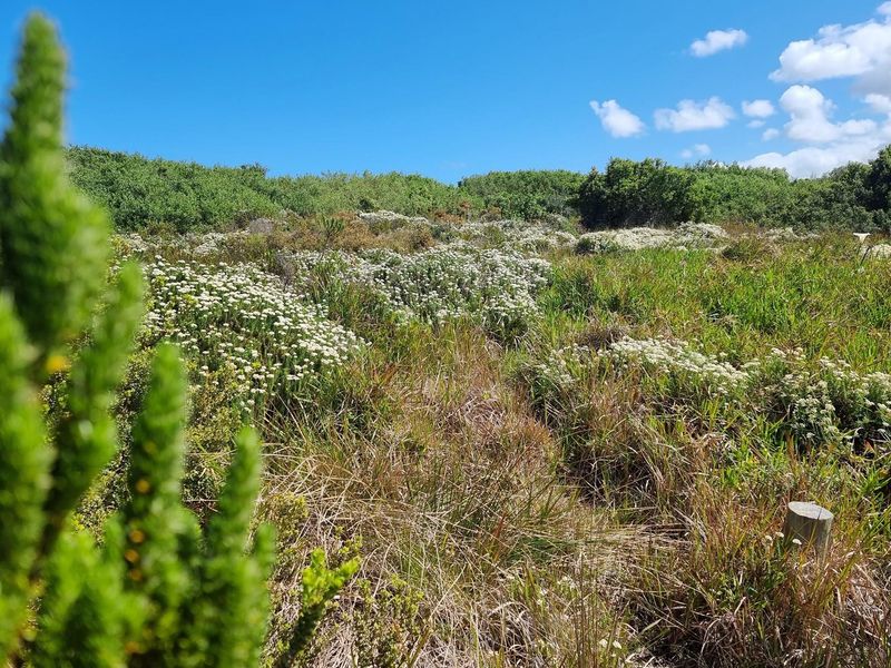 1428m2 Premium Stand in a Quiet Cul-de-Sac - St Francis Links Estate - Photo 6