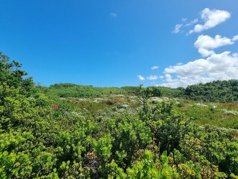 1428m2 Premium Stand in a Quiet Cul-de-Sac - St Francis Links Estate - Photo 3