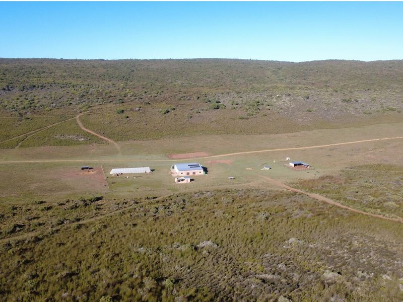 507 HA For the Discerning Farmer Stilbaai - Photo 4