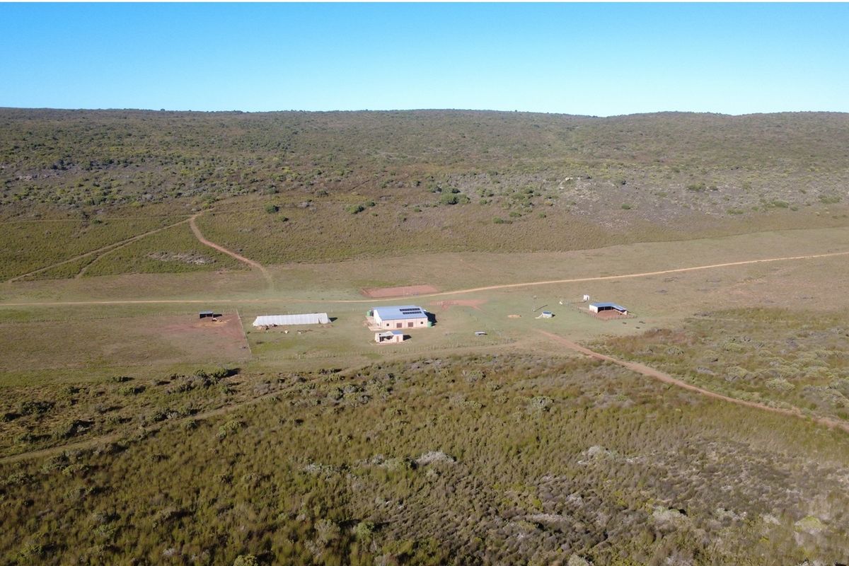 507 HA For the Discerning Farmer Stilbaai - Photo 4