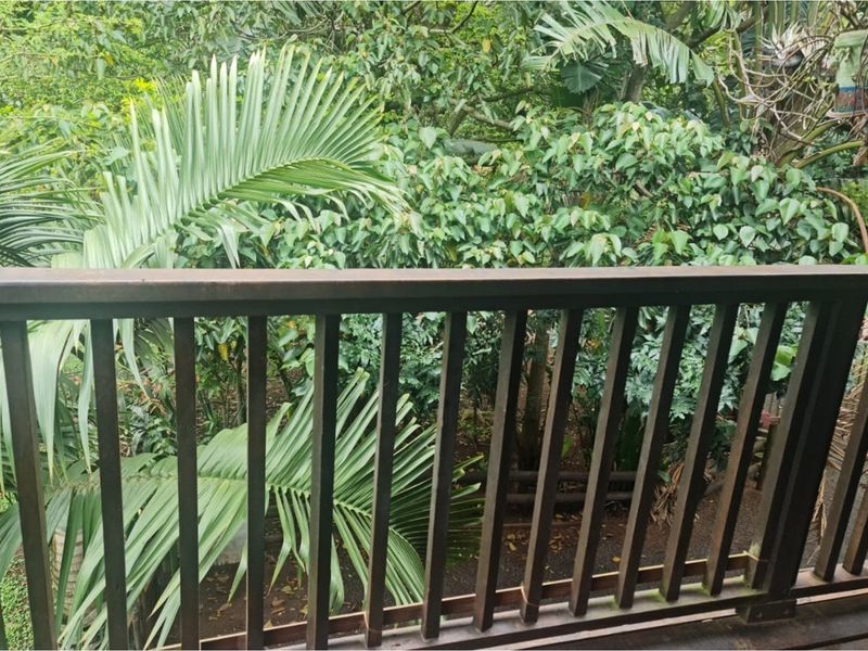 Spacious Double Storey Home in Leisure Bay - Perfect for Entertaining and Relaxed Living - Photo 6