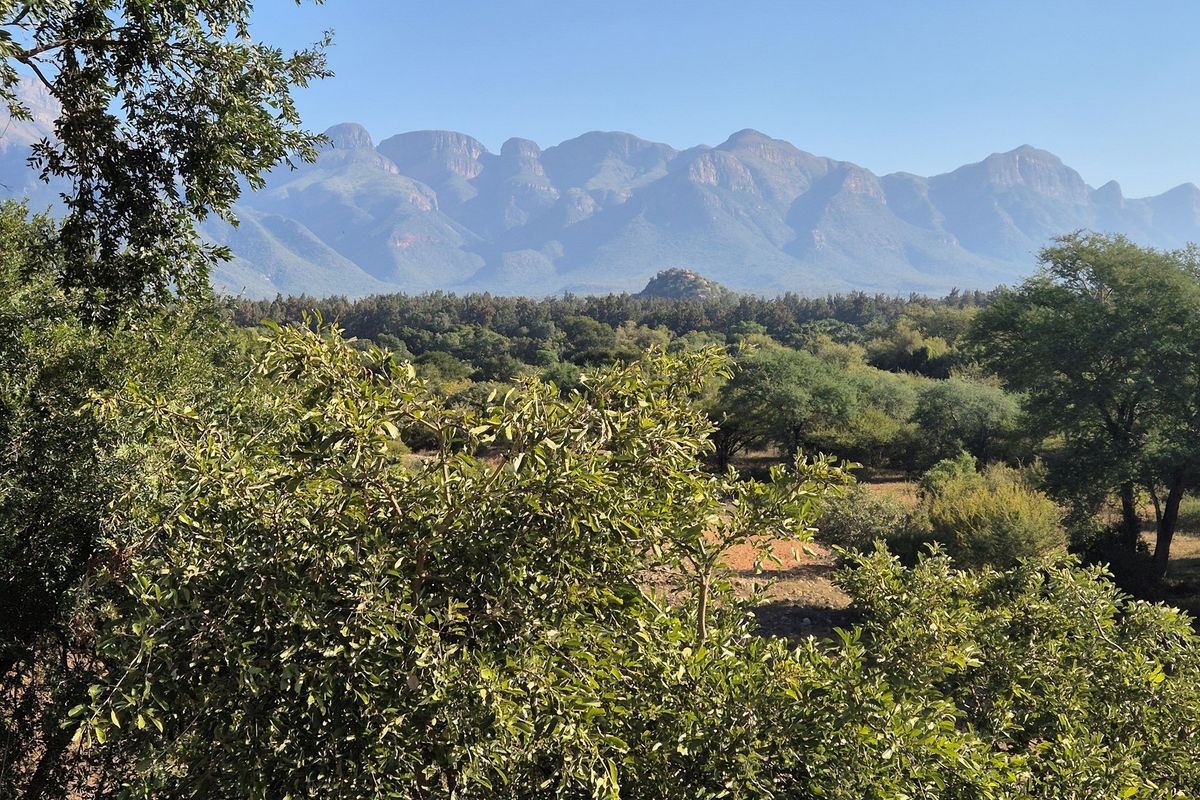 Best Value  Home on the Byde Riverine with Drakensberg Mountain views in Blyde Wildlife Estate. - Photo 4