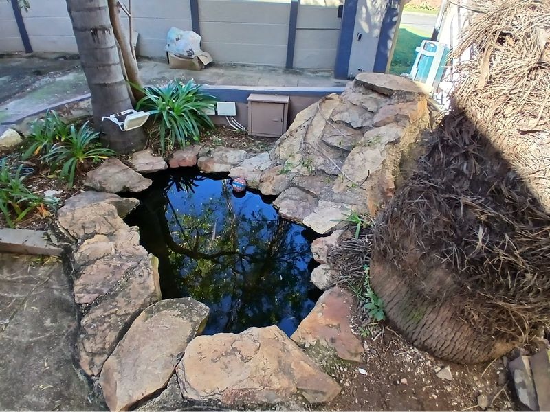 3-bedroom house with an additional 1-bedroom cottage is available for sale - Photo 4