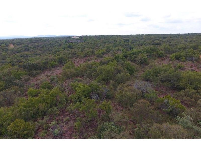Verloren Estate vacant land  - Spectacular views & Indigenous trees and rock formations Pets OK - Photo 7