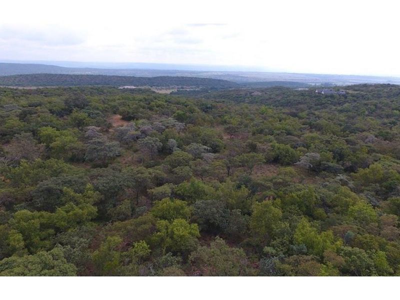 Verloren Estate vacant land  - Spectacular views & Indigenous trees and rock formations Pets OK - Photo 5