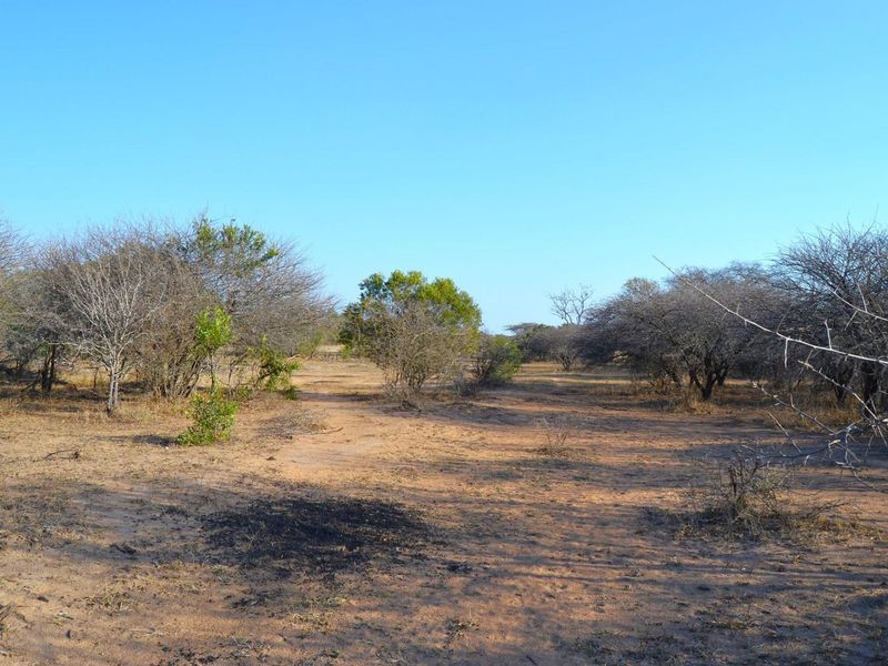 Live Among the Majestic: Luxury and Wildlife in Perfect Harmony - Photo 3