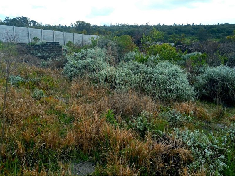 Reduced price ,  Spacious, well-positioned vacant stand with beautiful views in Albertinia - Photo 7