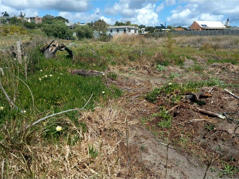 Reduced price ,  Spacious, well-positioned vacant stand with beautiful views in Albertinia - Photo 6