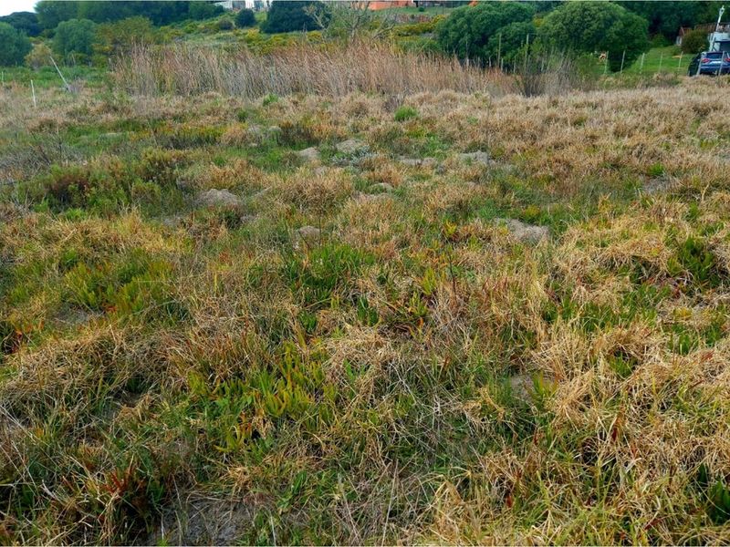 Reduced price ,  Spacious, well-positioned vacant stand with beautiful views in Albertinia - Photo 9