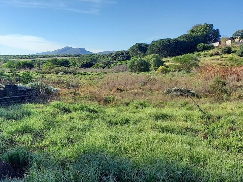 Reduced price ,  Spacious, well-positioned vacant stand with beautiful views in Albertinia - Photo 5