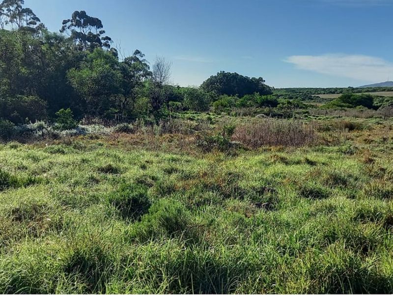 Reduced price ,  Spacious, well-positioned vacant stand with beautiful views in Albertinia - Photo 3