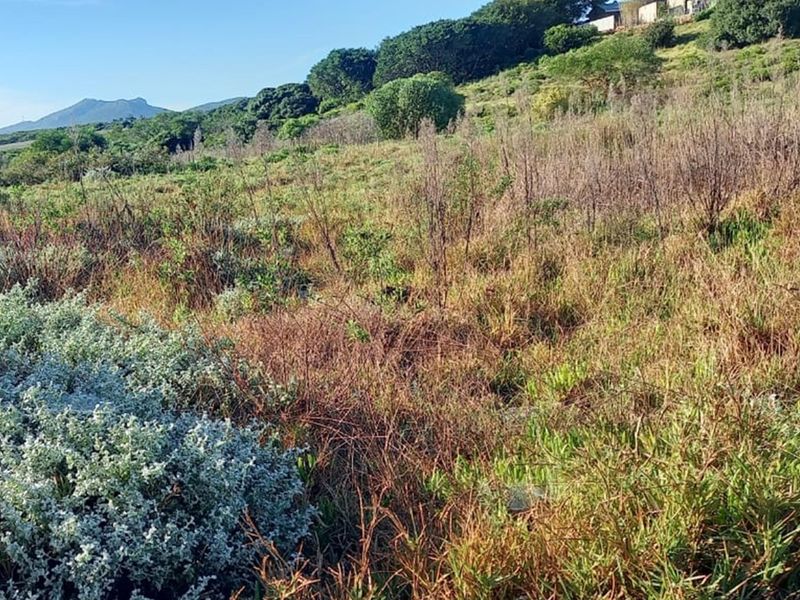 Reduced price ,  Spacious, well-positioned vacant stand with beautiful views in Albertinia - Photo 8