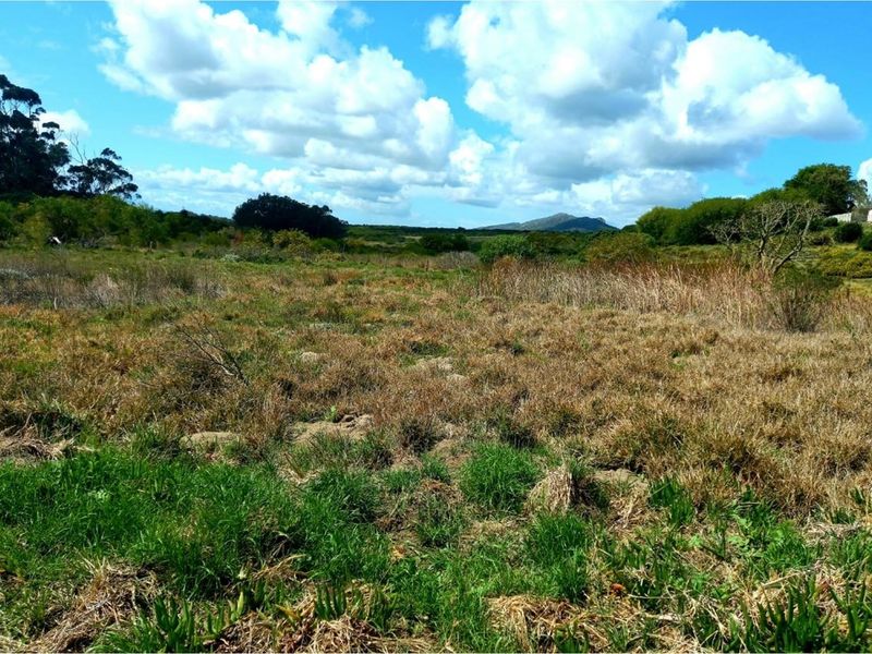 Reduced price ,  Spacious, well-positioned vacant stand with beautiful views in Albertinia - Photo 1