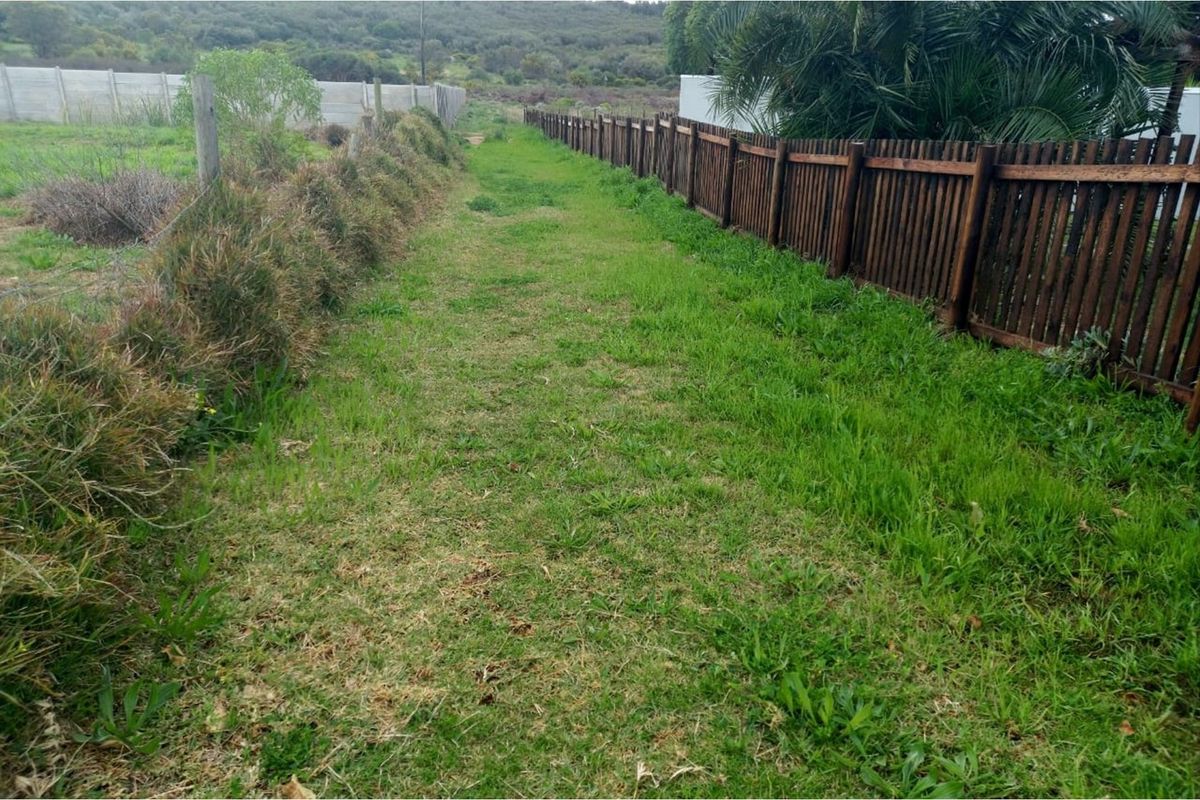 A view of a grassy garden area bordered by a wooden fence and a concrete boundary wall.