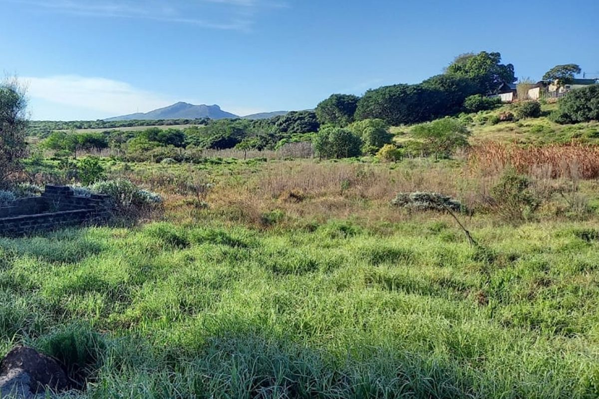 A view of a vacant residential plot featuring natural grass, native vegetation, and a stone retaining wall with mountain views in the background.