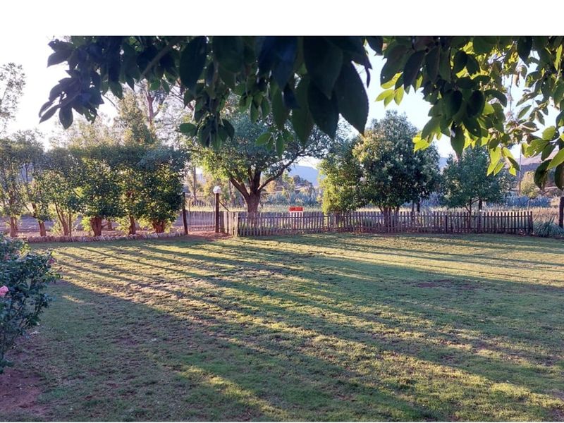 3 Bedroom Family Home for sale in Steynsburg Eastern Cape - Photo 6