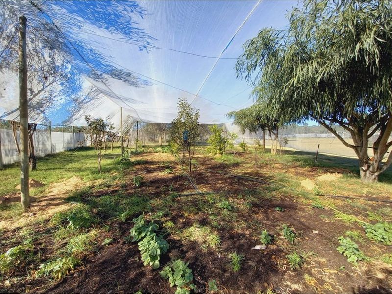 Embrace Off-Grid Living in Style and Comfort - 5,691m2 Smallholding in Albertinia - Photo 9