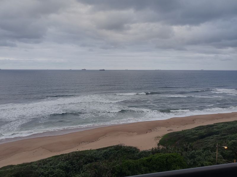A scenic elevated view of the ocean, sandy beach, and coastal vegetation, capturing the expansive horizon and natural surroundings.