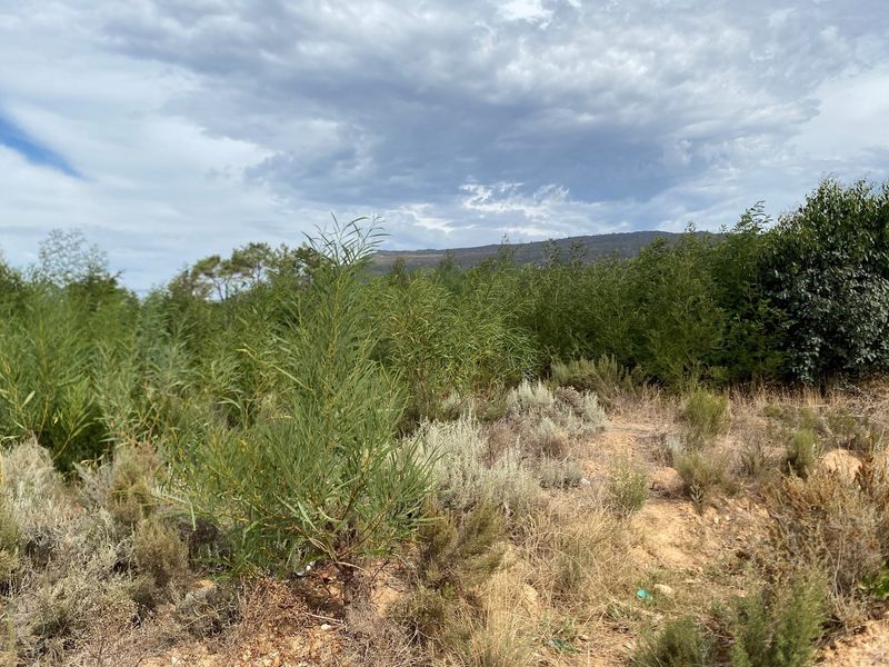 Vacant Plot for Sale in Bot River - Act Now! - Photo 7