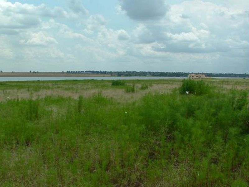 Have dreams to expand your wings, the beautiful Vaal - Photo 3