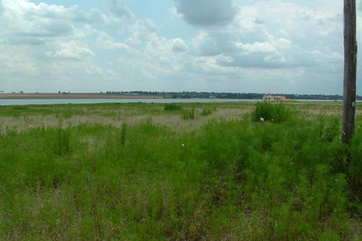 Have dreams to expand your wings, the beautiful Vaal - Photo 3