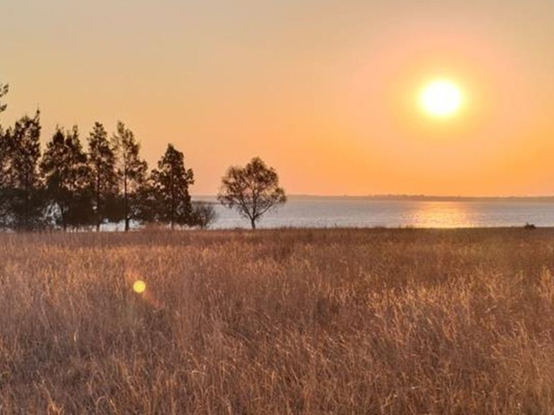 Have dreams to expand your wings, the beautiful Vaal - Photo 2