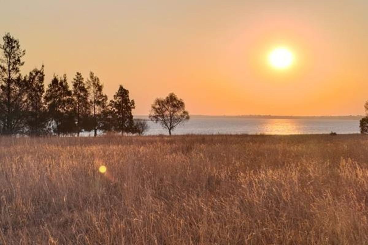 Have dreams to expand your wings, the beautiful Vaal - Photo 2