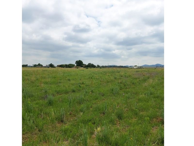 Have dreams to expand your wings, the beautiful Vaal - Photo 5