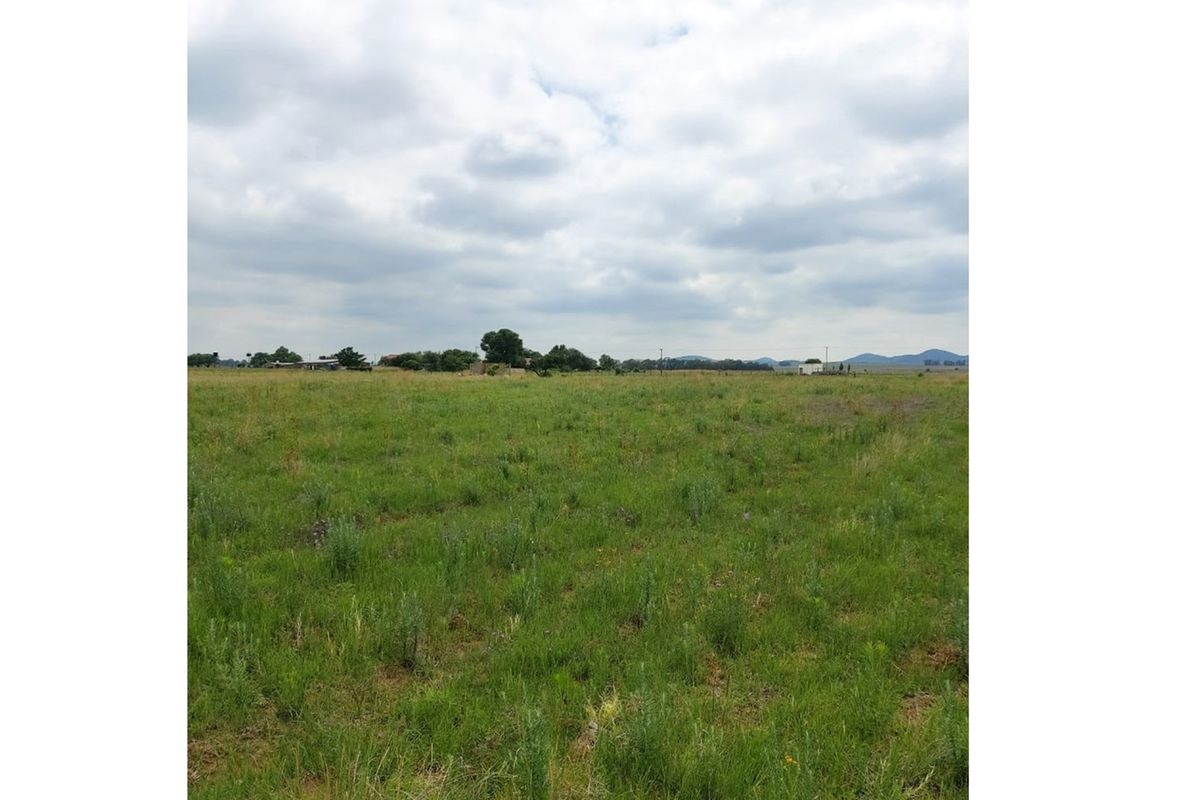 Have dreams to expand your wings, the beautiful Vaal - Photo 5