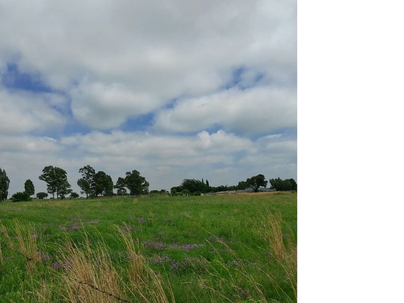 Have dreams to expand your wings, the beautiful Vaal - Photo 4