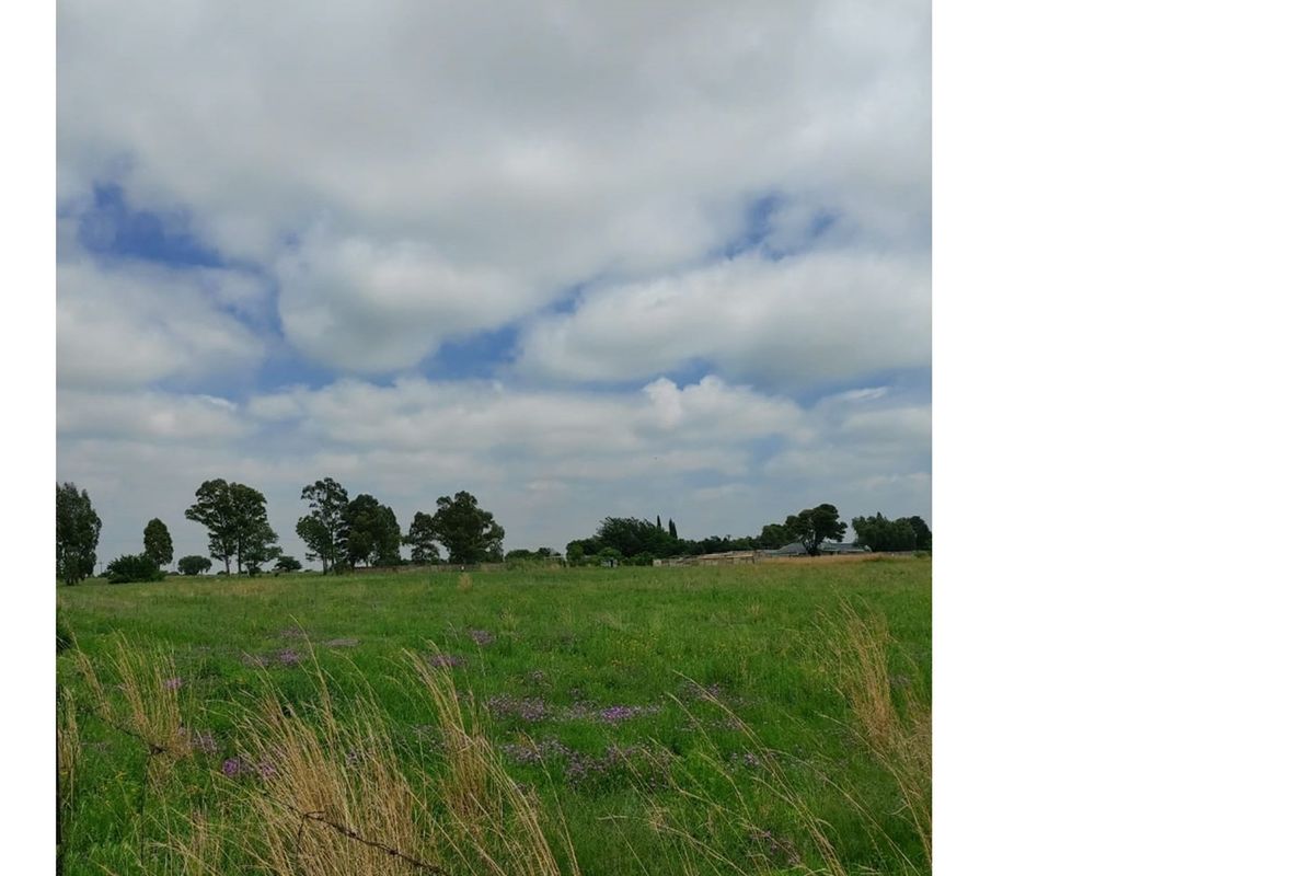 Have dreams to expand your wings, the beautiful Vaal - Photo 4