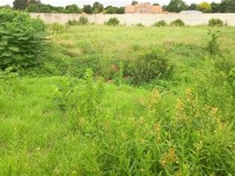 Have dreams to expand your wings, the beautiful Vaal - Photo 9