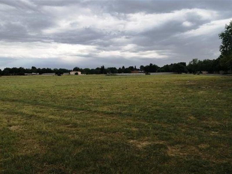 Have dreams to expand your wings, the beautiful Vaal - Photo 8