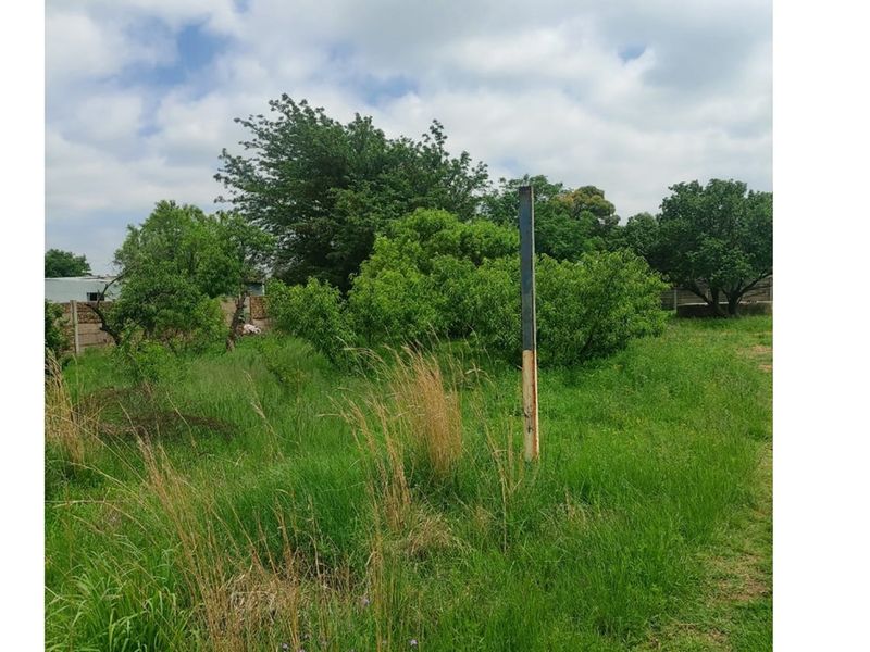 Have dreams to expand your wings, the beautiful Vaal - Photo 7