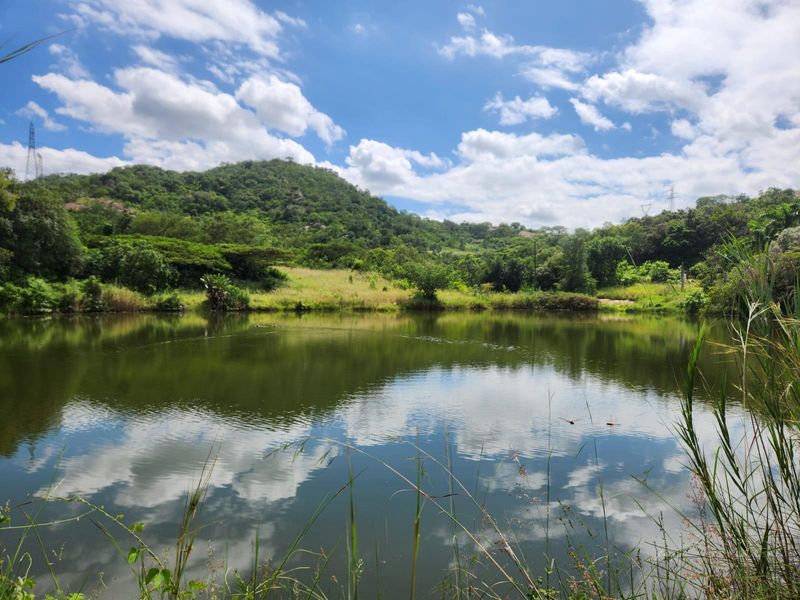 A scenic view of a natural pond set against a lush green hillside under a bright blue sky.