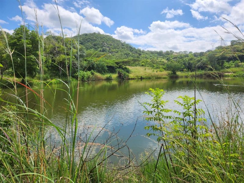 A scenic view of a natural pond surrounded by lush greenery and rolling hills on the farm property.