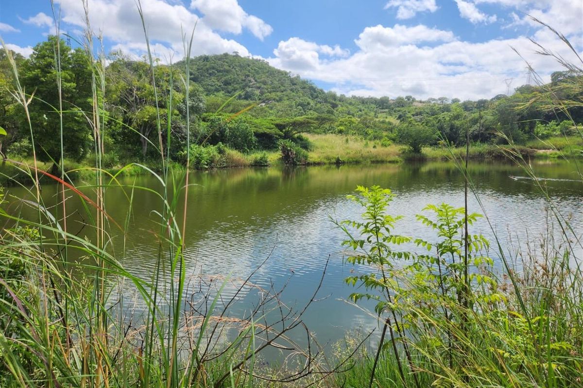 A scenic view of a natural pond surrounded by lush greenery and rolling hills on the farm property.
