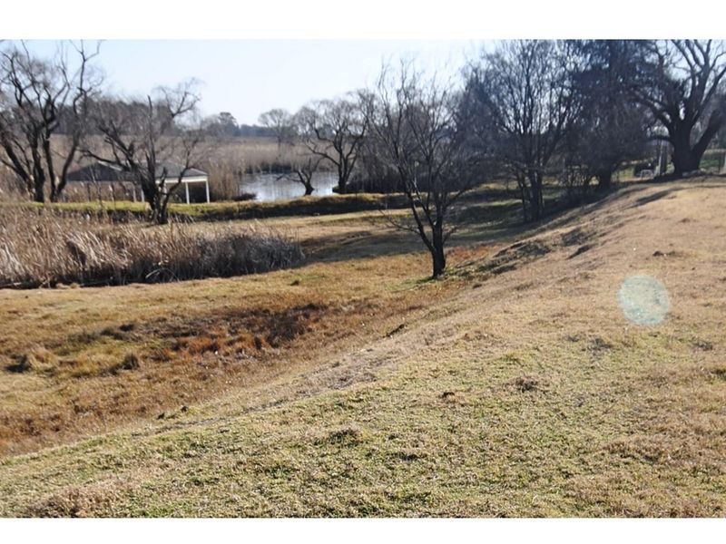 A scenic view of the farm landscape featuring open fields, mature trees, and a small pond in the distance.