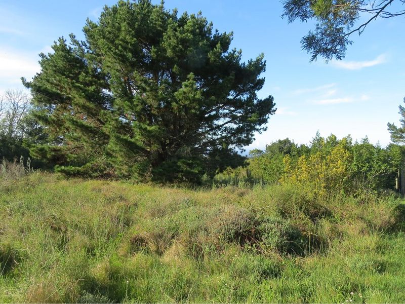 Vacant Stand with Sea Views, Position, Old Sea View Road, Port Elizabeth. - Photo 5