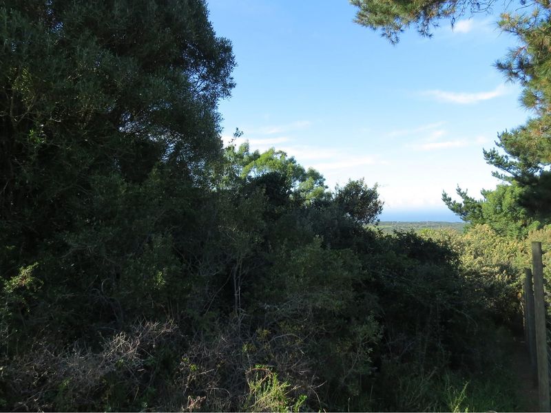 Vacant Stand with Sea Views, Position, Old Sea View Road, Port Elizabeth. - Photo 6