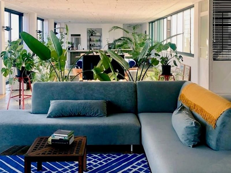 Spacious open-plan living area featuring industrial-style concrete ceilings, large windows providing ample natural light, and a seamless flow to the kitchen area.